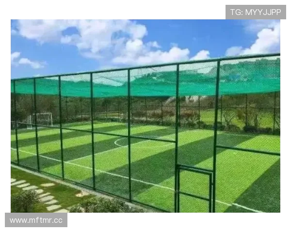 轻松访问开云体育入口链接,尽享全方位的体育赛事分析 轻松访问开云体育入口链接,尽享全方位的体育赛事分析