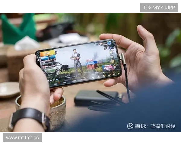 尊龙凯时平台全面解析游戏安全保障措施，保障玩家账号安全与资金安全