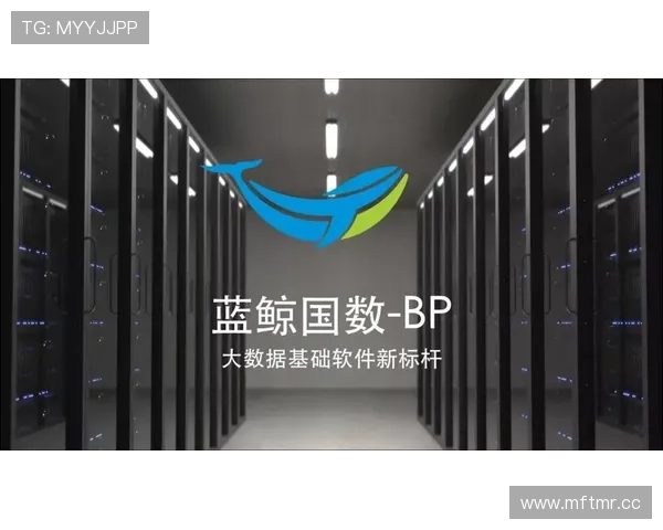 蓝鲸中文站:利用大数据分析精准推送优质中文内容满足多样化阅读需求