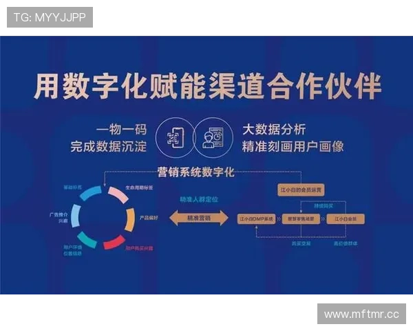 39152k1体育十年品牌在数字化转型中的创新应用与行业引领作用